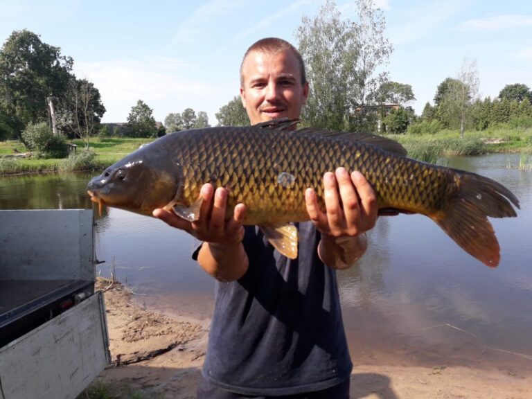 20190620 095418 1024x768 1 768x576