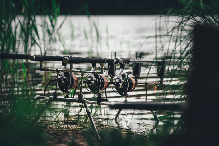 473321461 1398847191324340 6149918111370490597 n 768x512