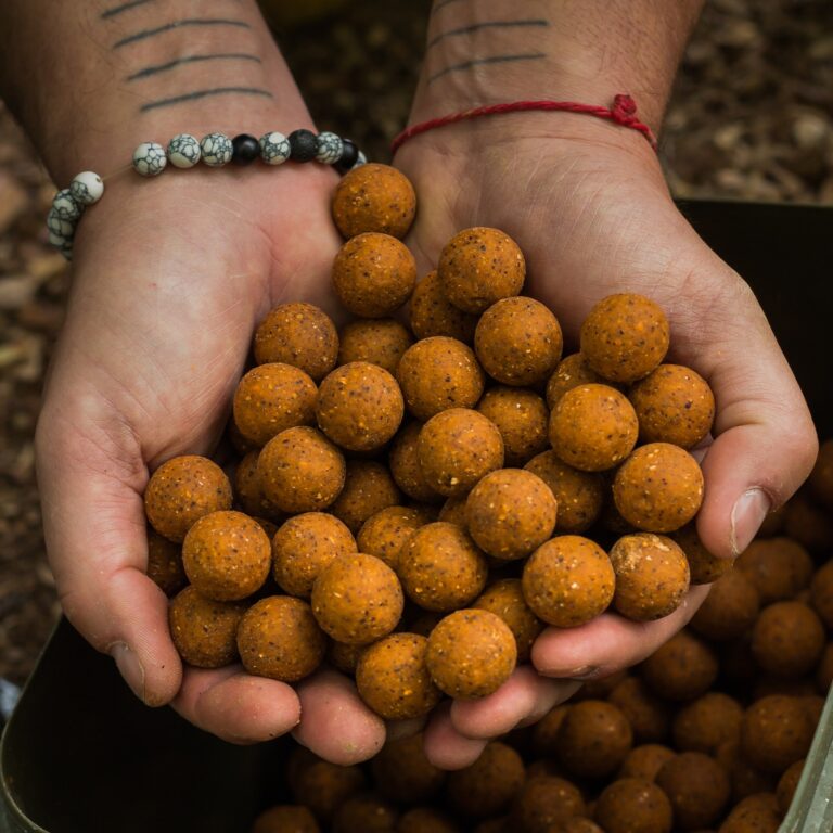 474467936 1399535644588828 734318527685343622 n 768x768