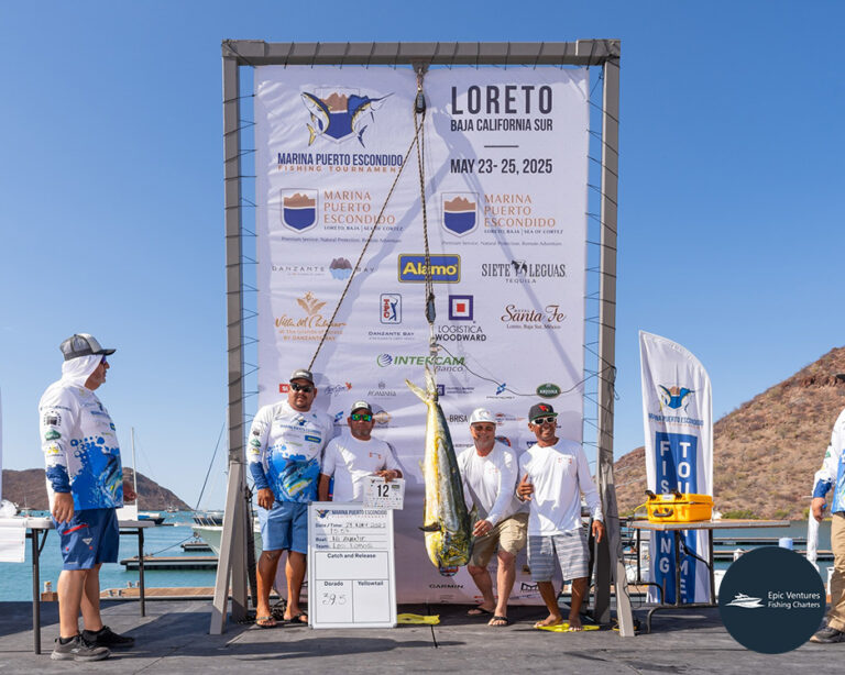 2025 marina puerto escondido tournament epic ventures fishing charters 1 768x614