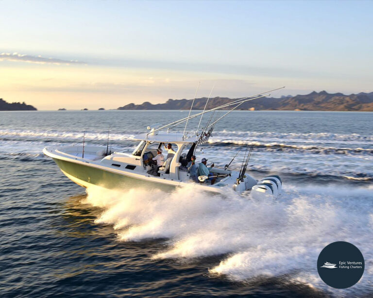 2025 marina puerto escondido tournament epic ventures fishing charters 4 768x614