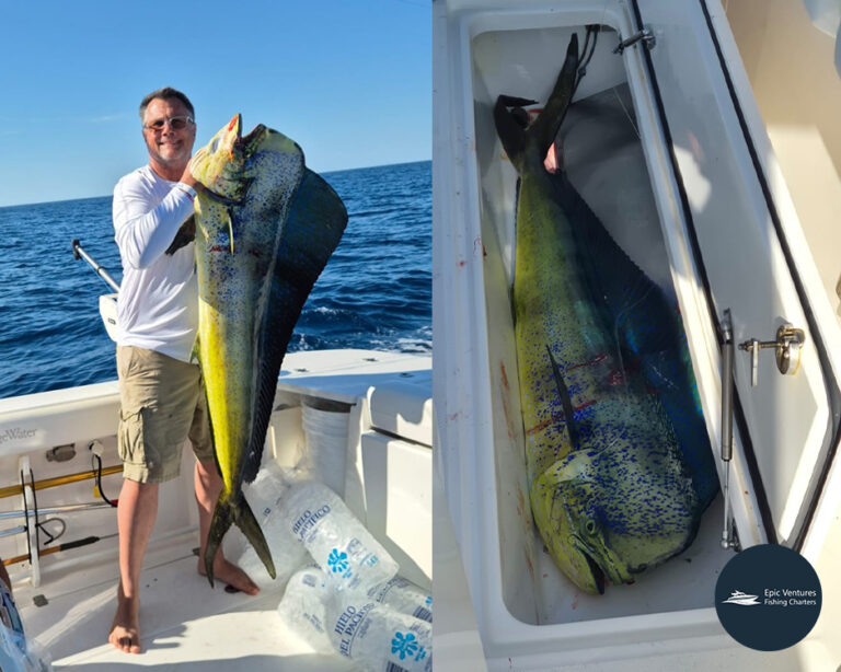 2025 marina puerto escondido tournament epic ventures fishing charters 5 768x614