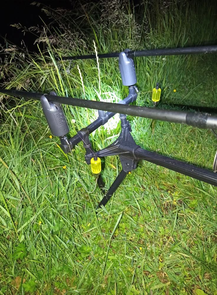 Carp Fishing